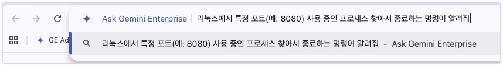 Gemini 자동 이동